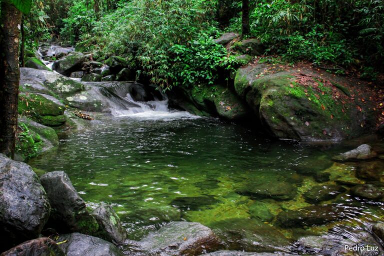 Cachoeiras de Penedo: natureza exuberante